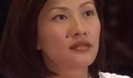 娱乐吃瓜人设崩塌小说,从娱乐明星到吃瓜群众的逆袭之路